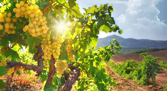 1014_副本 1014_副本