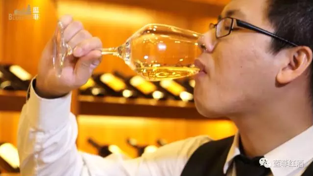 6個步驟,資深品酒師教你如何來品葡萄酒